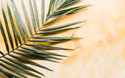 The metaphor of Easter, on finding forgiveness and relinquishing justice