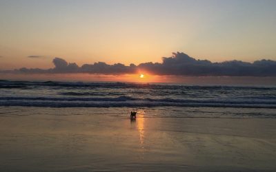 The tide has turned