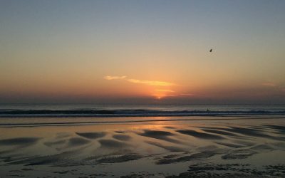 The power of a unifying story