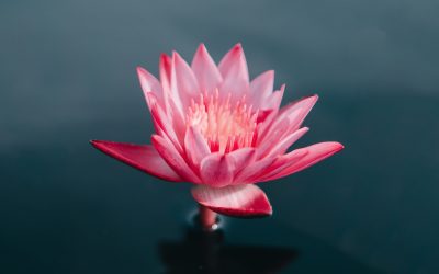 Trusting Intuition
