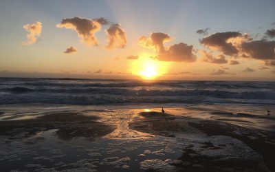 Wild oceans and the irrelevance of walls