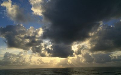 The myth of selfish