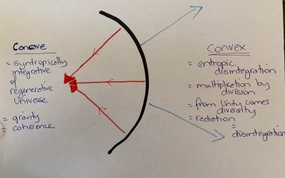 What is a Syntropic Enterprise?