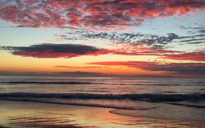 The urgency of stillness