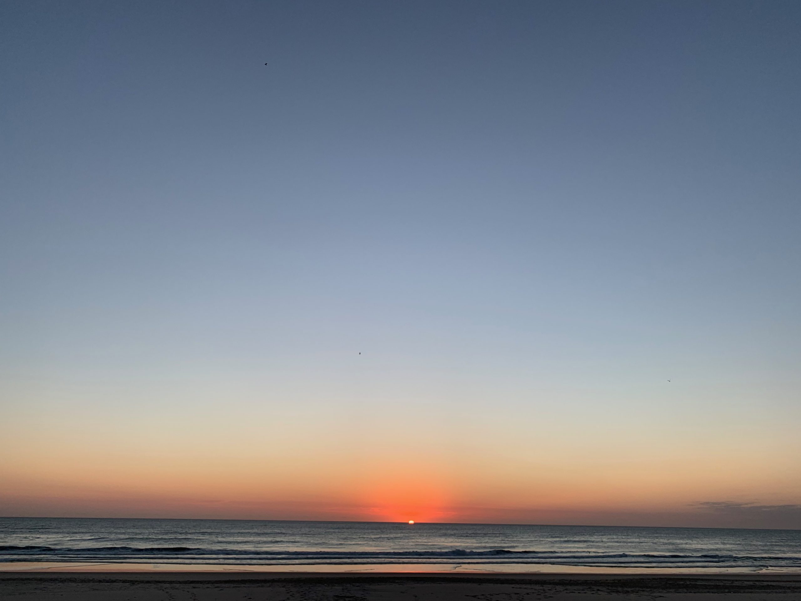 the existential threat of the climate crisis