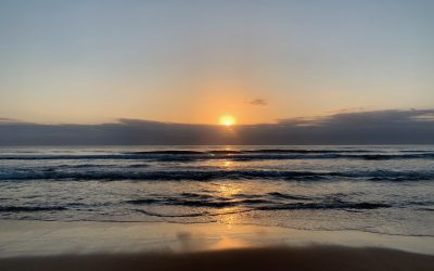 Finding threads in dark times