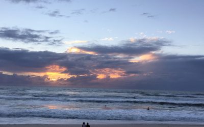Does beauty capture your attention or are you distracted by fear?