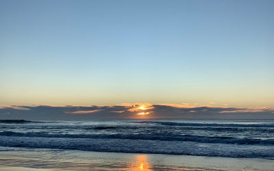 Life begins with awareness of otherness – on becoming Syntropic