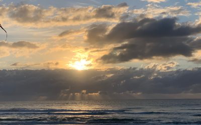 Humility is the antidote to division