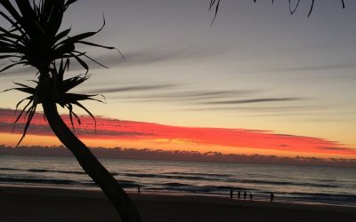 A return to Integrity in everything is where we begin