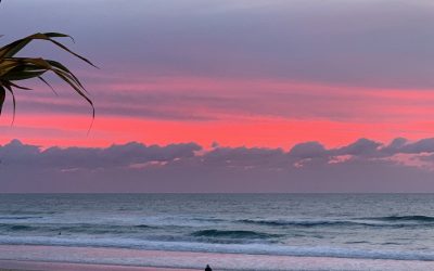 Forgotten elements that enable a sustainable Syntropic world