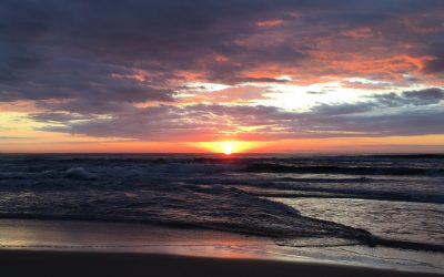 The Fierce Urgency of Now