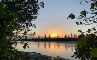 The act of stewardship