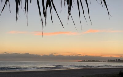 The metaphor of surfing the wave