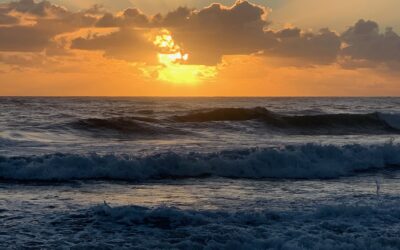 Our intrinsic identity as nature