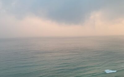 The Power of Vulnerability