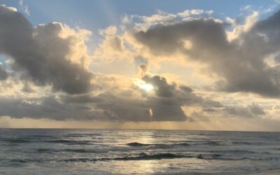 Synergy, syntropy and the urgent need for comprehensivists