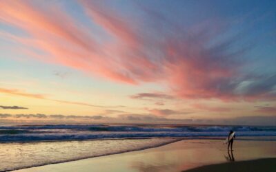 On discipline – steady in the chaos