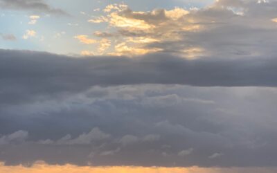 How to start a Syntropic Enterprise