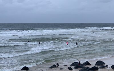 Learning the language of waves