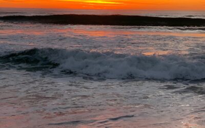 Nature, simply going about her day, humbles us constantly