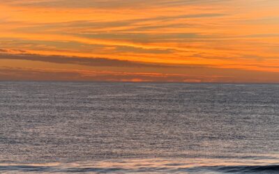 Saturated in beauty