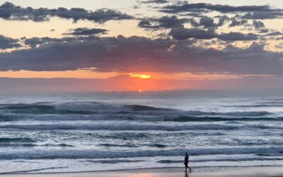 Anticipate the perfect wave