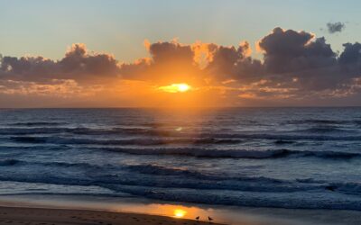 Perhaps this is why nature gives us sanctuary