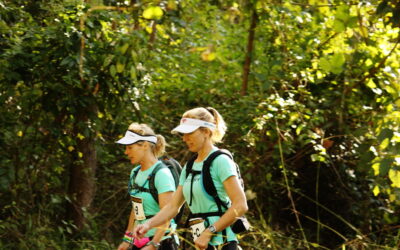 Sport and business. Lessons from endurance sport