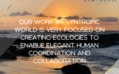 The Syntropic Steward Leader – bearing guard, holding the integrity, being the exemplar