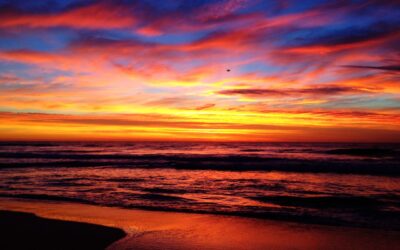 Possibility, preparedness, acceptance, present time