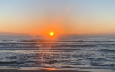 Politics and spin doctors – taking responsibility for our seduction