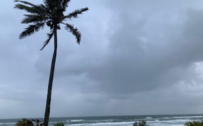 Finding gratitude in the mundane
