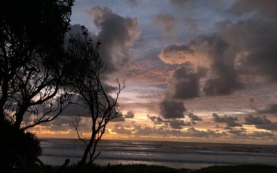 From protection to partnering with nature
