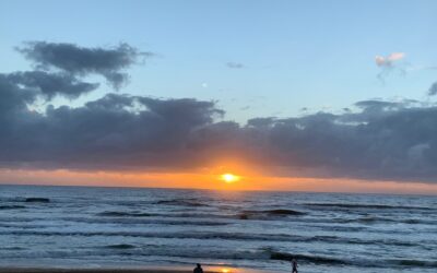 Emergence and Synchronicity