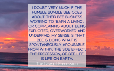 Bee Life – Natures Laws and Human Success