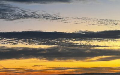 Turbulence of change