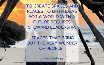 Steward Leadership – needed now for a world with a future