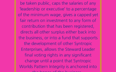 What is the purpose of business, who owns what, and how do we coordinate people?  Creating legal codes for a Syntropic World