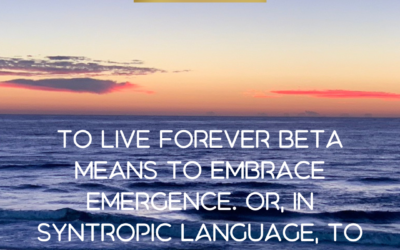 Forever Beta – the dance of emergence and the future of beautiful business