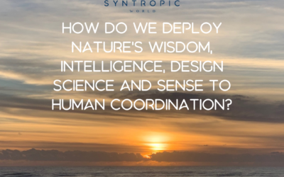How do we deploy Nature’s wisdom, intelligence, design science and sense to human coordination?