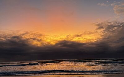 Adaptability, emergence and expectations