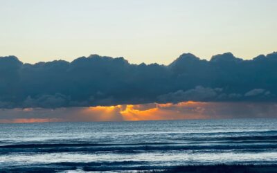 Incremental versus transformational change