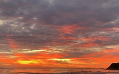 The point of having an Evolutionary Purpose