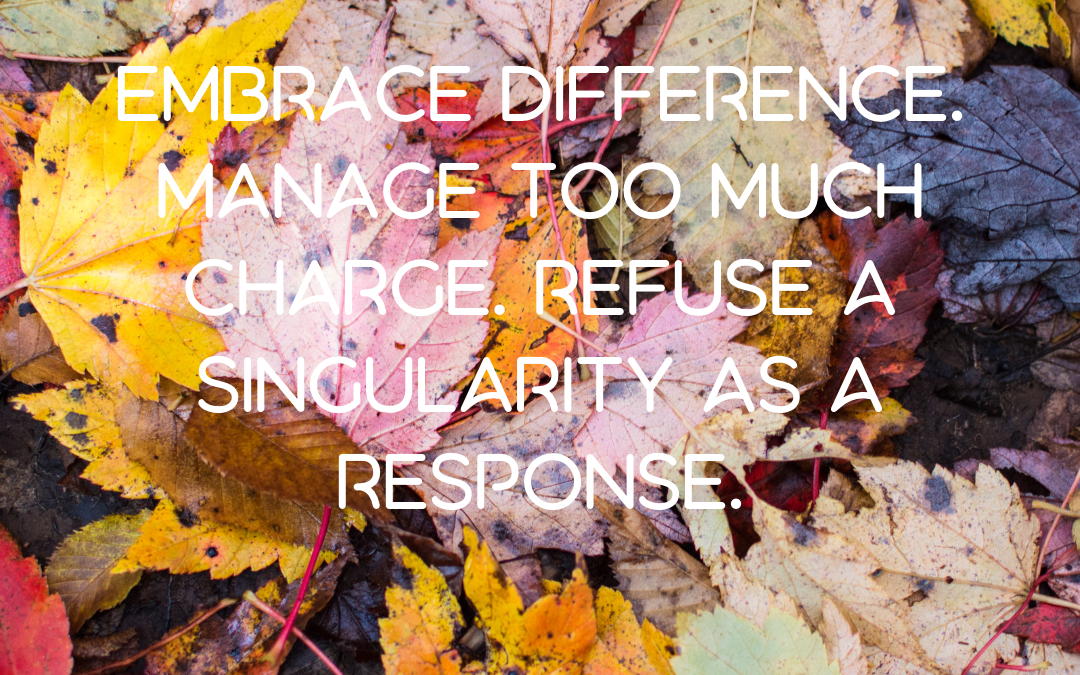 Embrace difference. Manage too much charge. Refuse a singularity as a response.