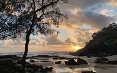 Finding routines and anchor points tether a life to a place
