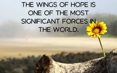 Pandora’s box and the audacity of hope