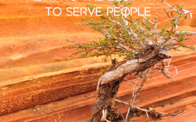 Being nice is not always the best way to serve people