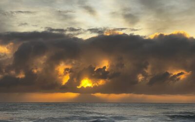 I learn from my mentor the ocean