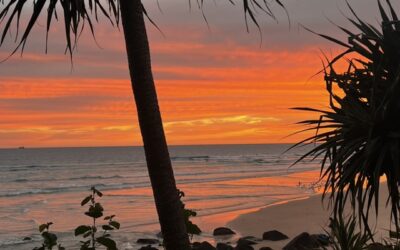 Create the surfing-the-wave experience in enterprise and business